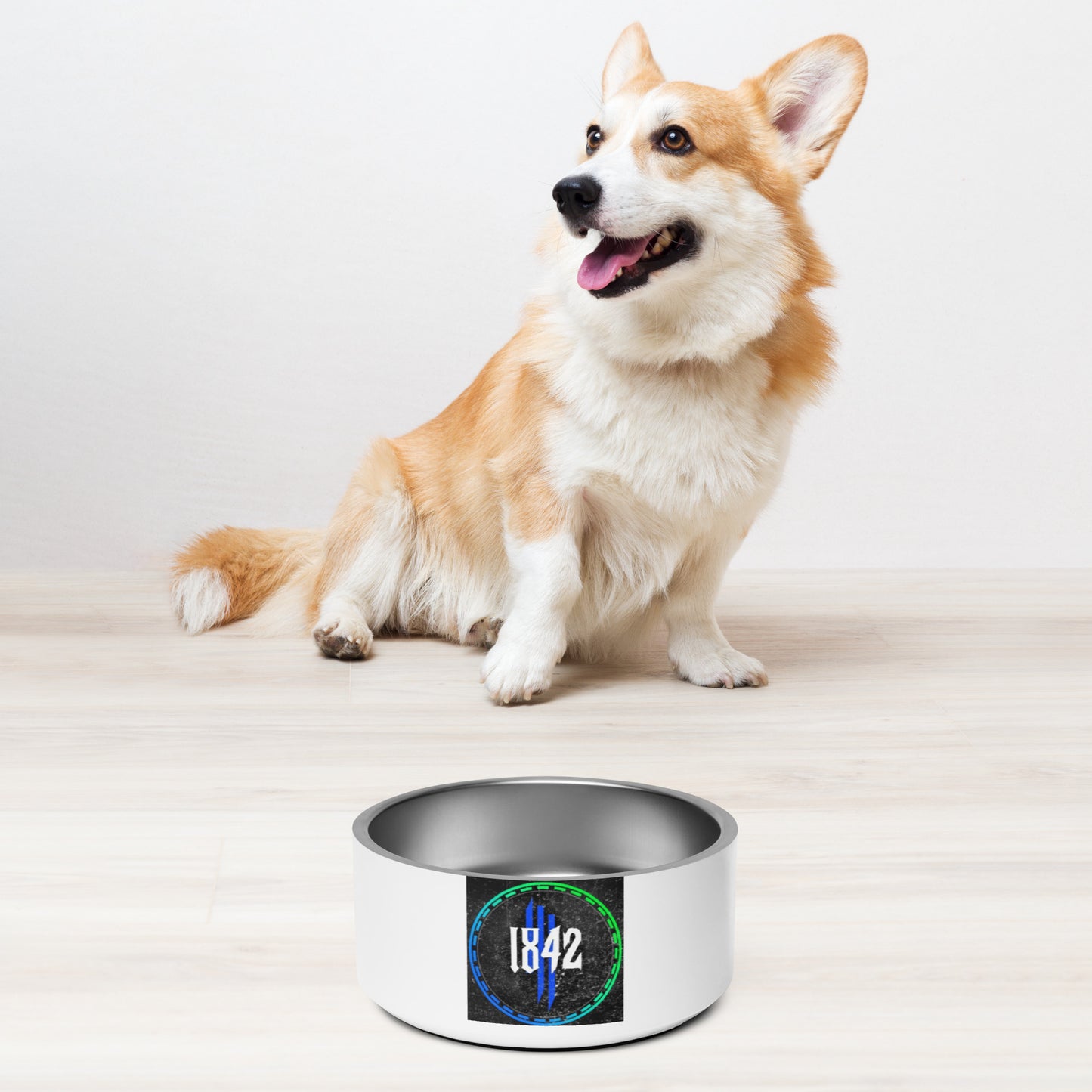 Pet bowl